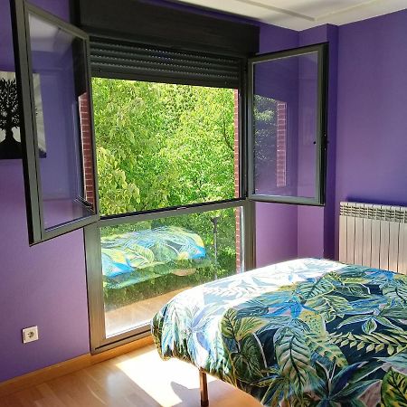 La Terraza De Zahara Lejlighed Pamplona Eksteriør billede