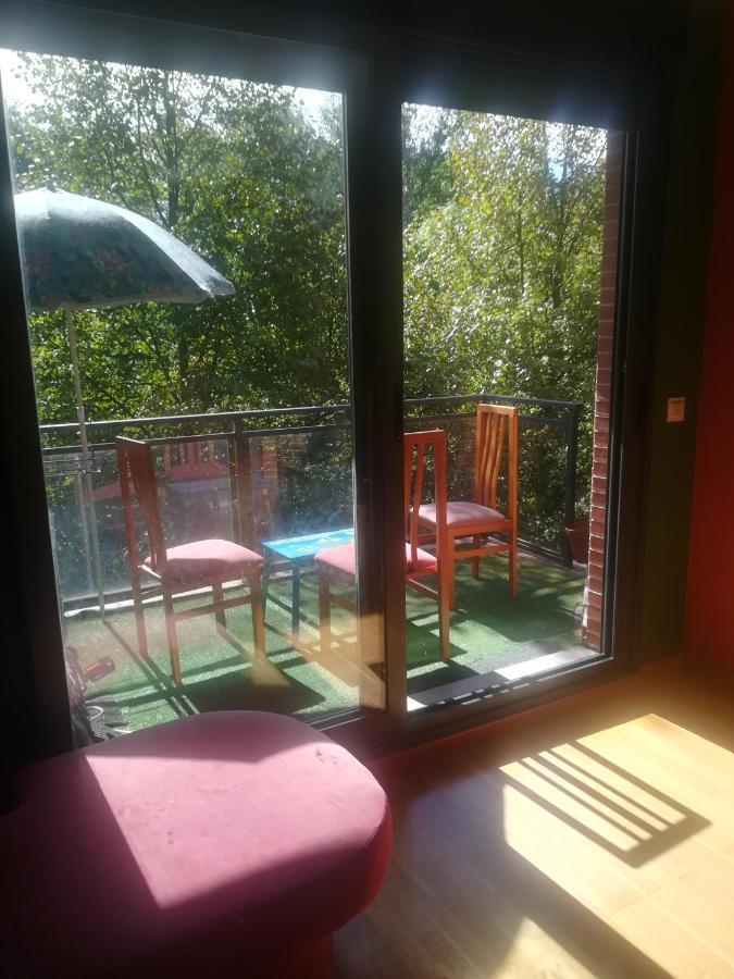 La Terraza De Zahara Lejlighed Pamplona Eksteriør billede
